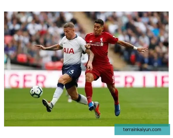 球员统计对比将揭示年轻球员的成长趋势与成熟球员的稳定表现