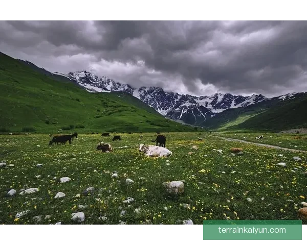亚美尼亚国家队高加索虎近期表现稳健，备受关注的战力提升趋势分析