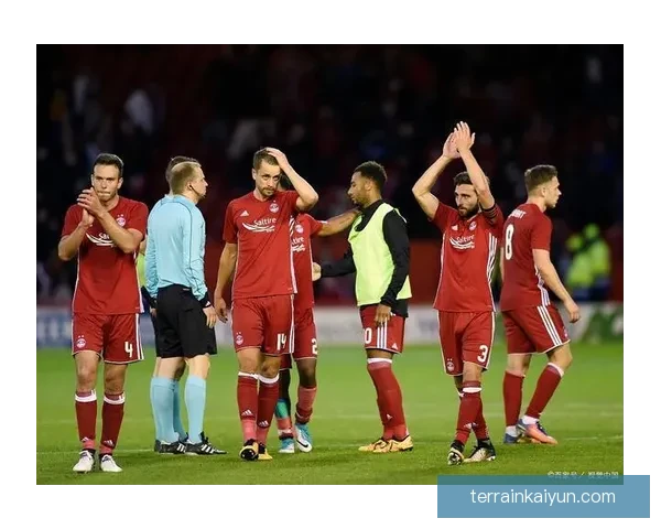 阿瑙托维奇技术特点解析：持球推进与对抗能力表现稳健现稳健